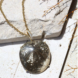 14k Sand Dollar Prong Set Pendant on Cable Chain - One of a Kind