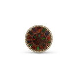 14k Round Ammonite & Diamond Cathedral Ring - One of a Kind