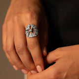 Bague en diamant et dollar des sables