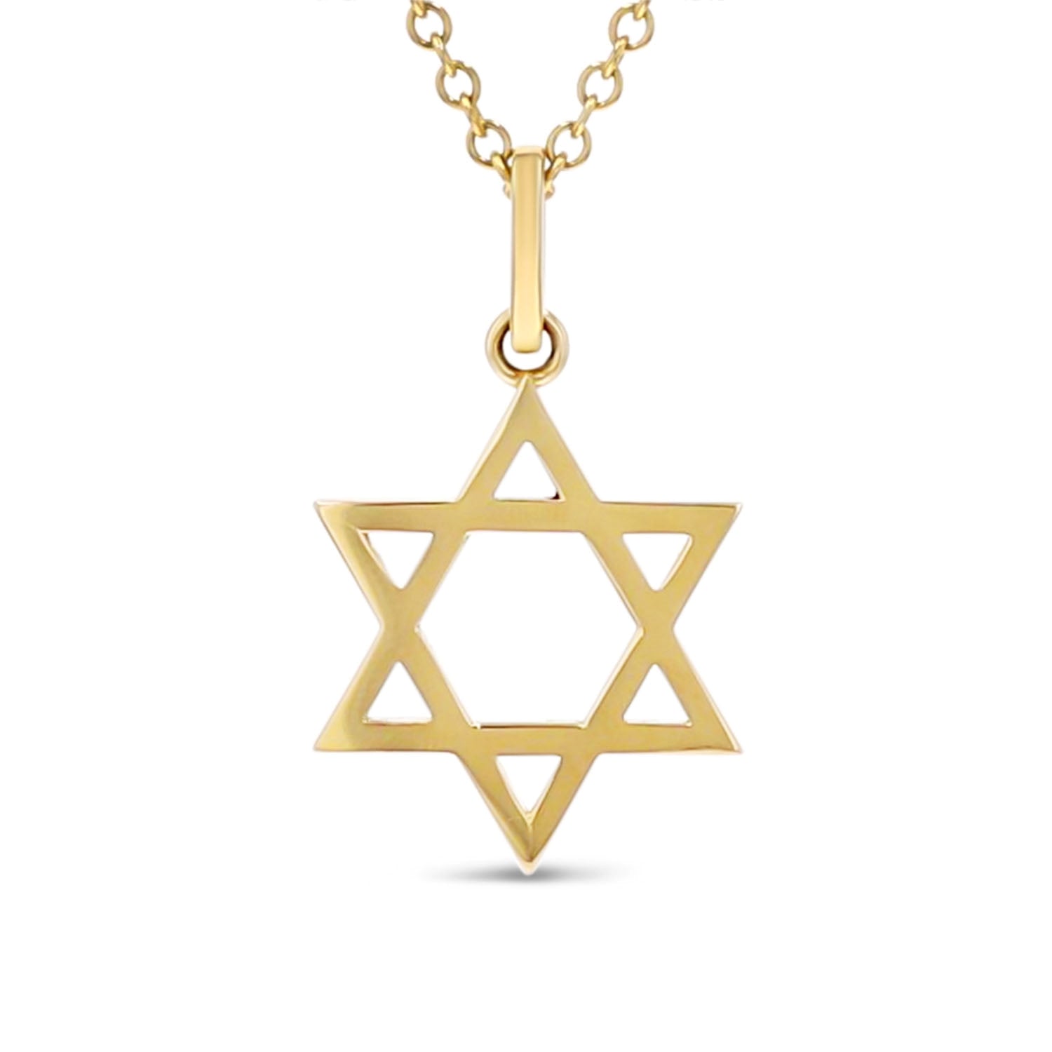 14k Gold 22mm Star of David Pendant on Link Chain Necklace