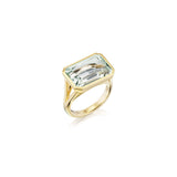 The Joni 14k Gold Emerald Cut Ring - Prasiolite